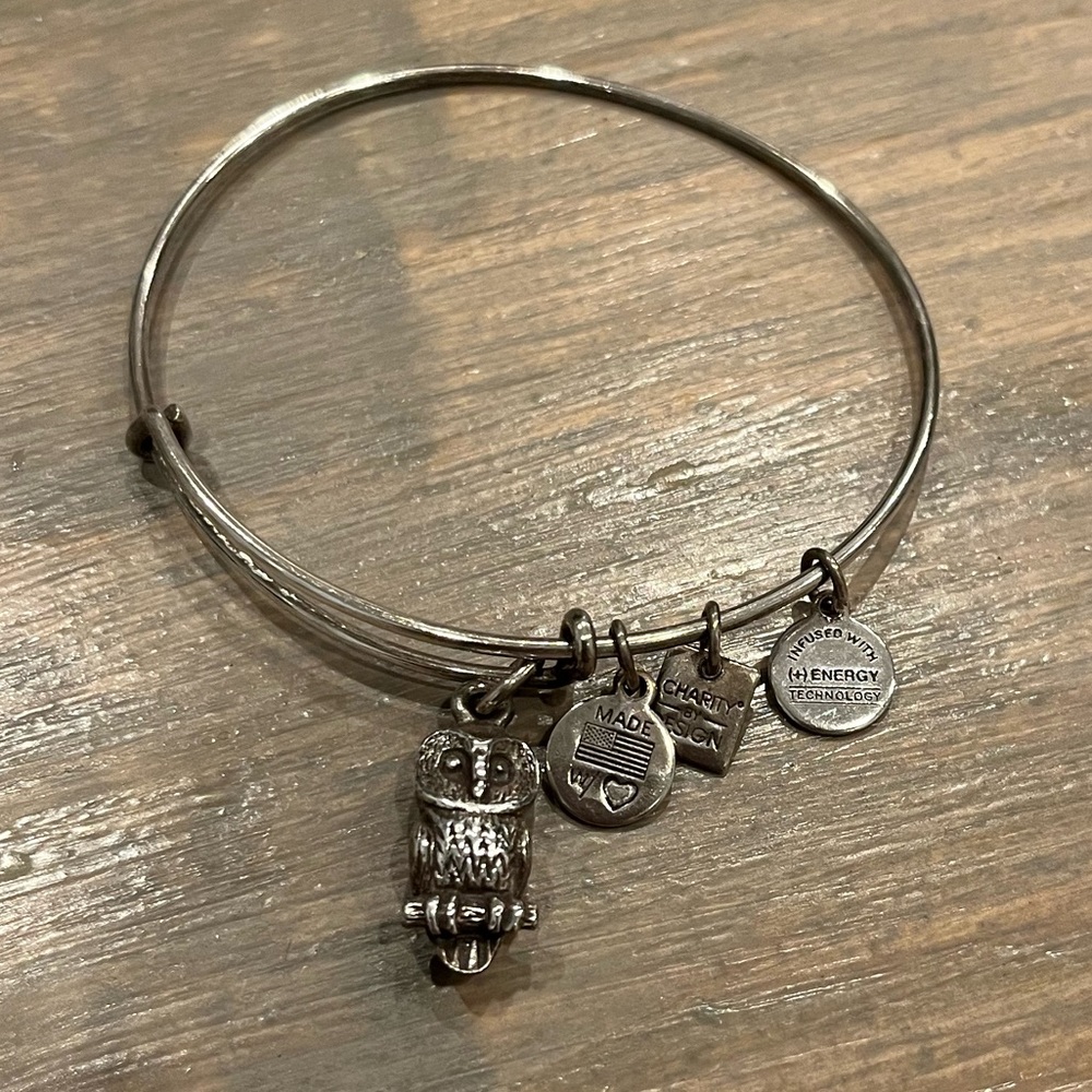Alex and Ani Silver Owl Charm Bangle